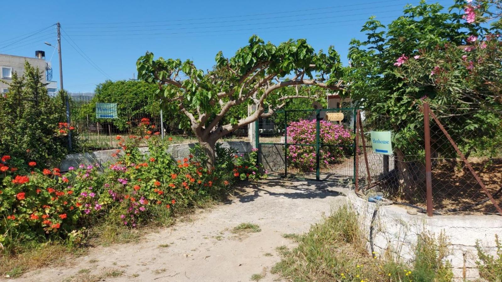 Agritourism Cottage Near Sitia Eksteriør billede